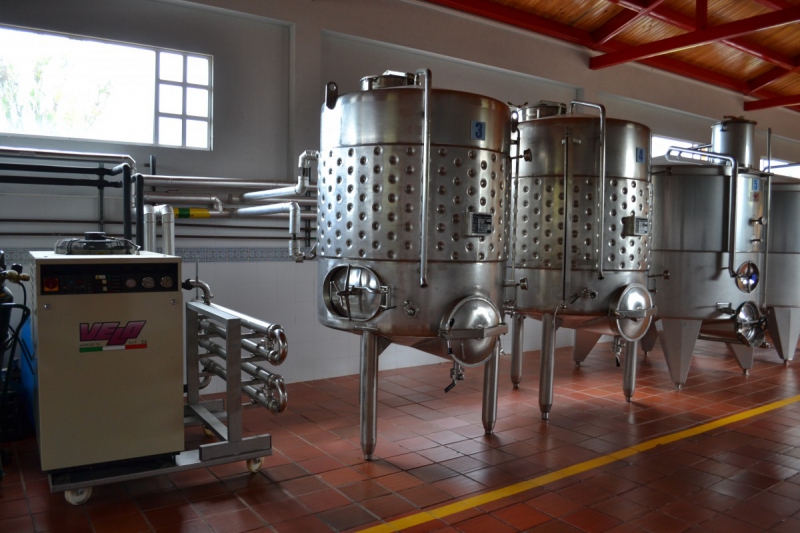 cave-TARADEAU-min_wine_production_cantine_winery_drink_alcohol_vine_beverage-902036